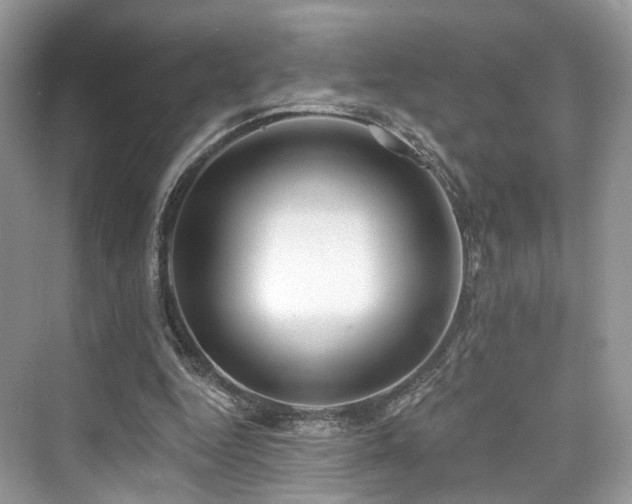 X0000073930344200608111206