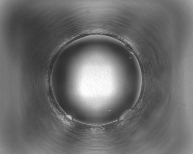 X0000073930345200608111206