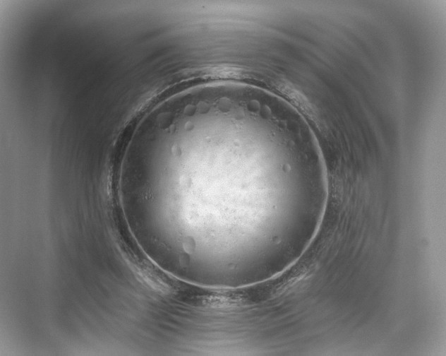 X0000073930347200608111206