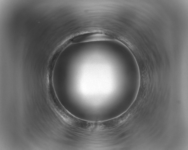 X0000073930350200608111206