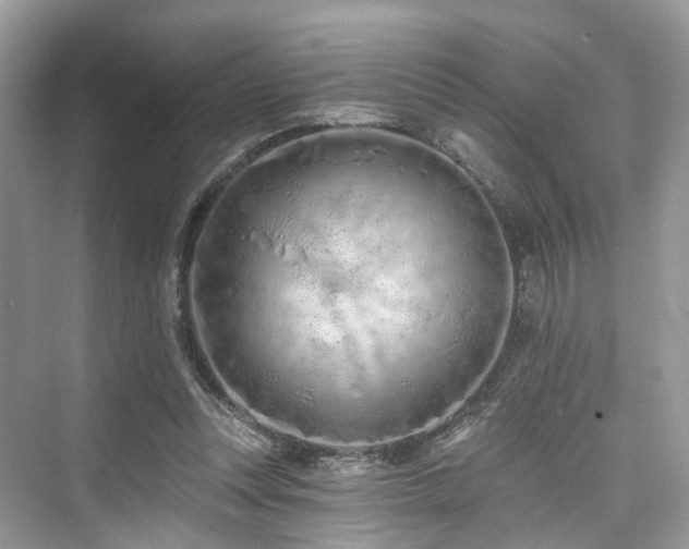 X0000073930351200608111206