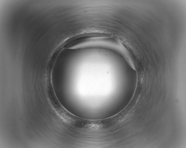 X0000073930352200608111206