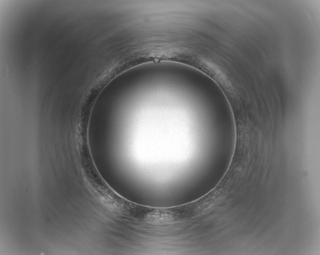 X0000073930354200608111206