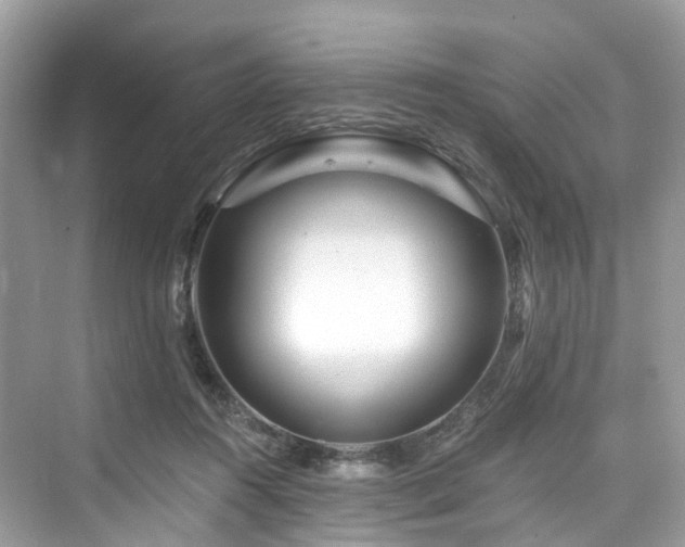 X0000073930360200608111206