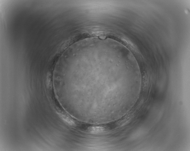 X0000073930361200608111206