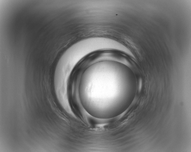 X0000073930362200608111206