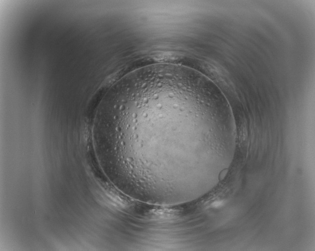 X0000073930367200608111206