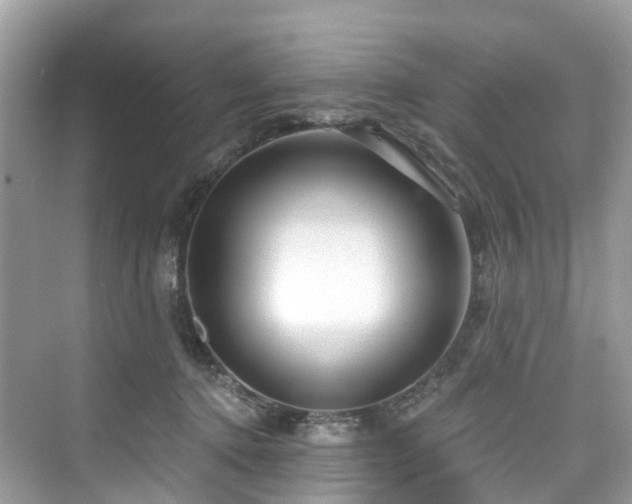 X0000073930368200608111206