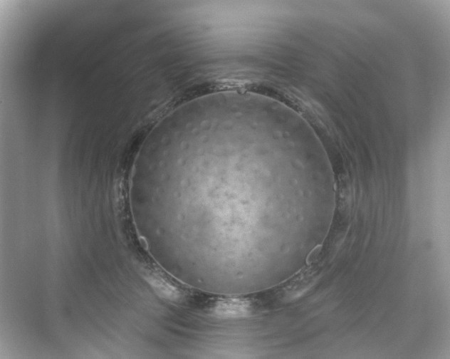 X0000073930369200608111206