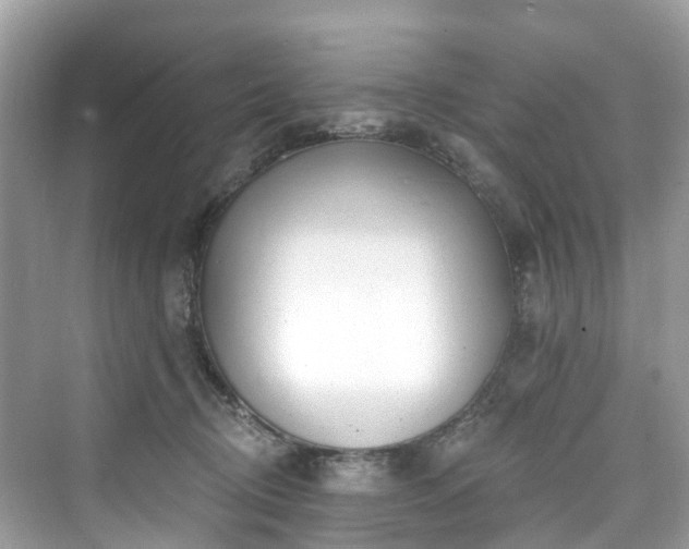 X0000073930370200608111206