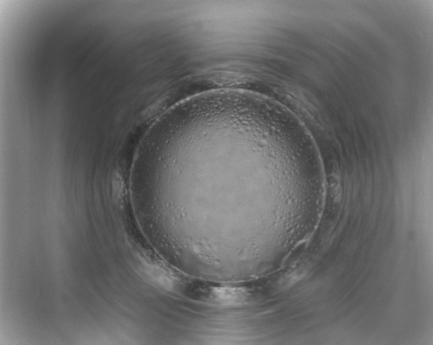 X0000073930371200608111206