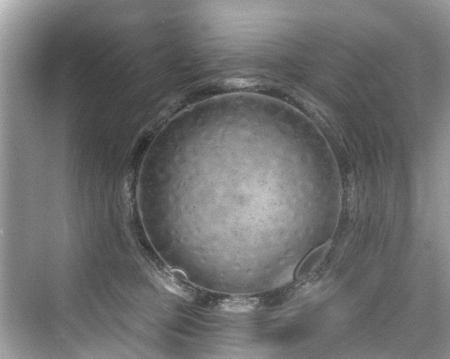 X0000073930373200608111206