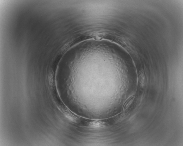 X0000073930375200608111206