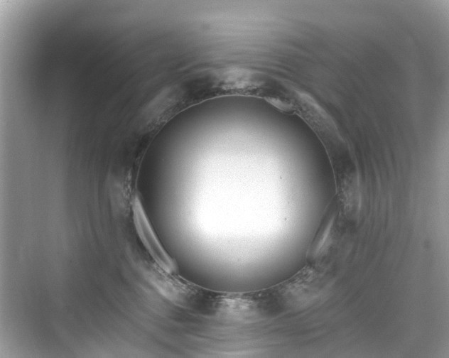 X0000073930376200608111206