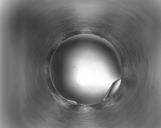 X0000073930379200608111206