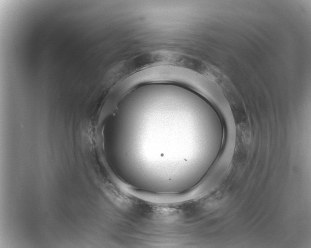 X0000073930380200608111206