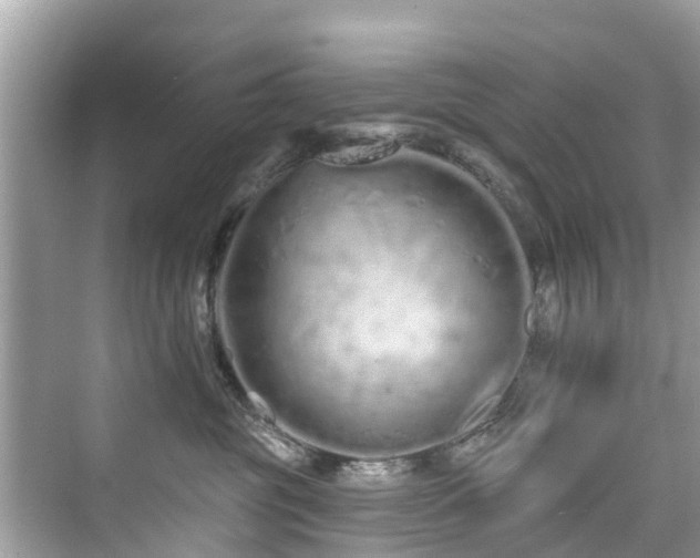 X0000073930381200608111207