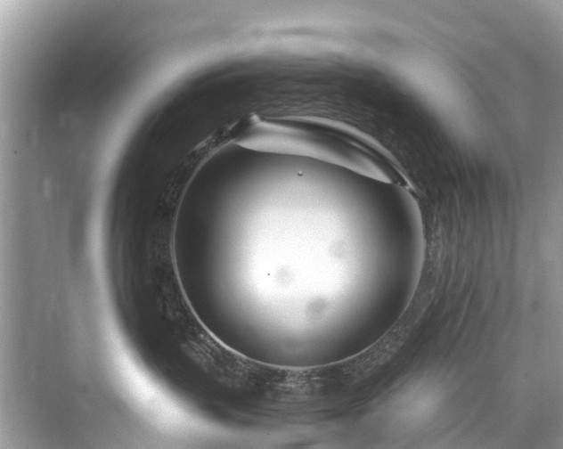 X0000073930383200608111207