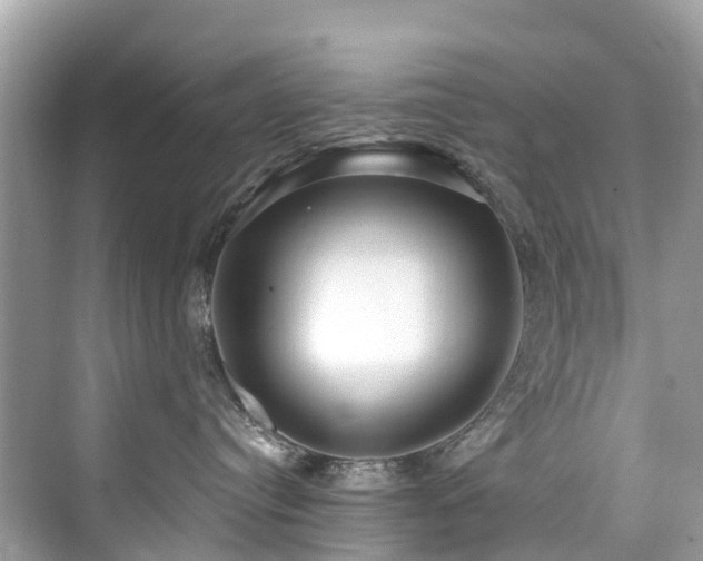 X0000073930384200608111207