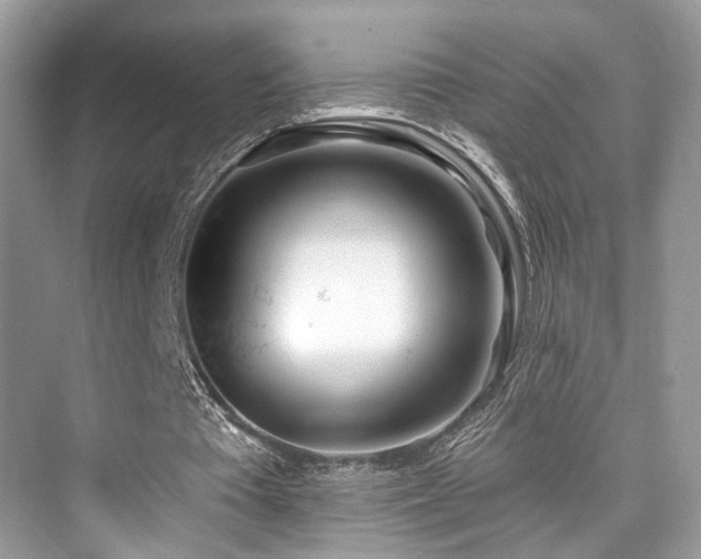 X0000073930385200608111206