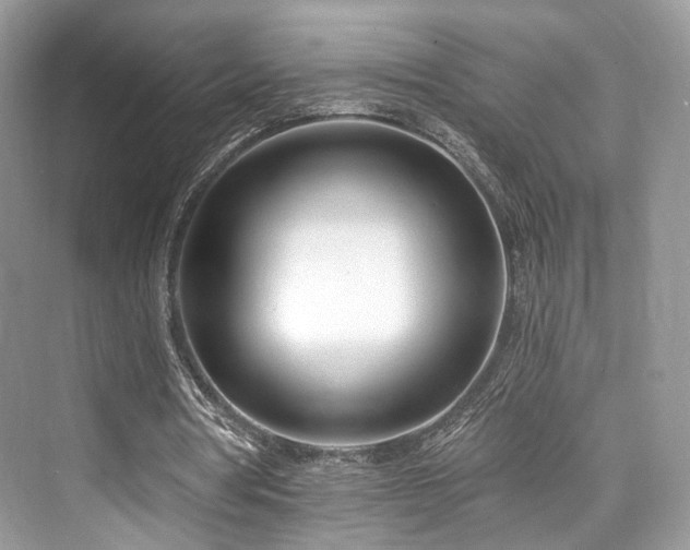 X0000073930386200608111206