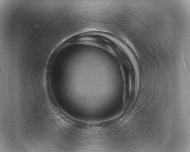 X0000073930387200608111206