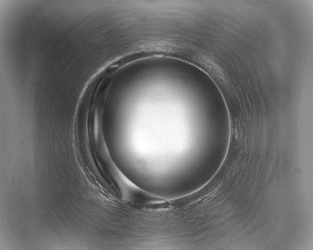 X0000073930388200608111206