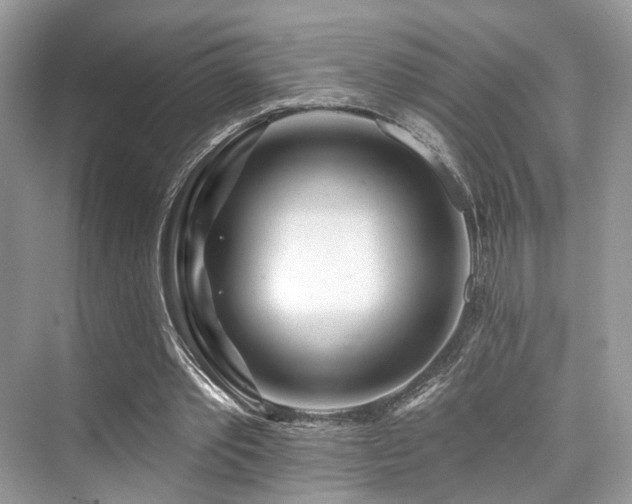 X0000073930389200608111206