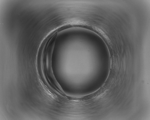 X0000073930391200608111206