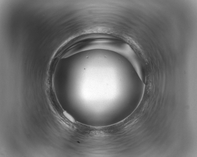 X0000073930392200608111206