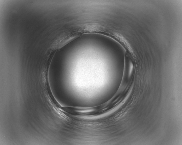 X0000073930393200608111206