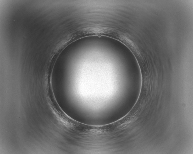 X0000073930394200608111206