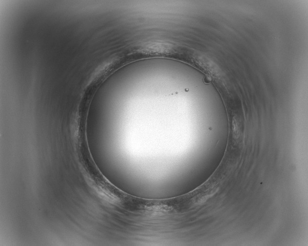 X0000073930396200608111206