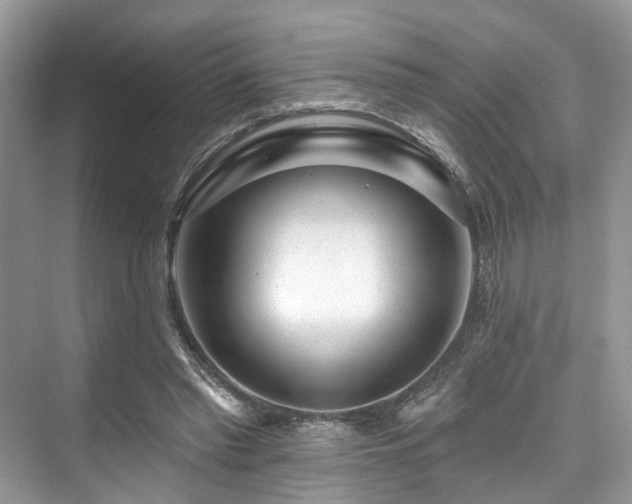 X0000073930397200608111206