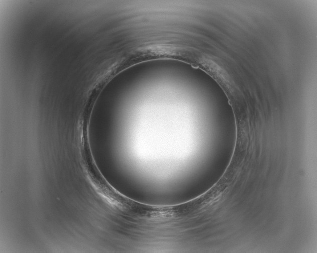 X0000073930398200608111206