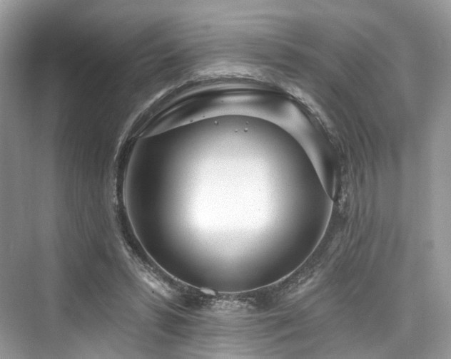 X0000073930399200608111206