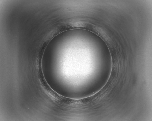 X0000073930402200608111205