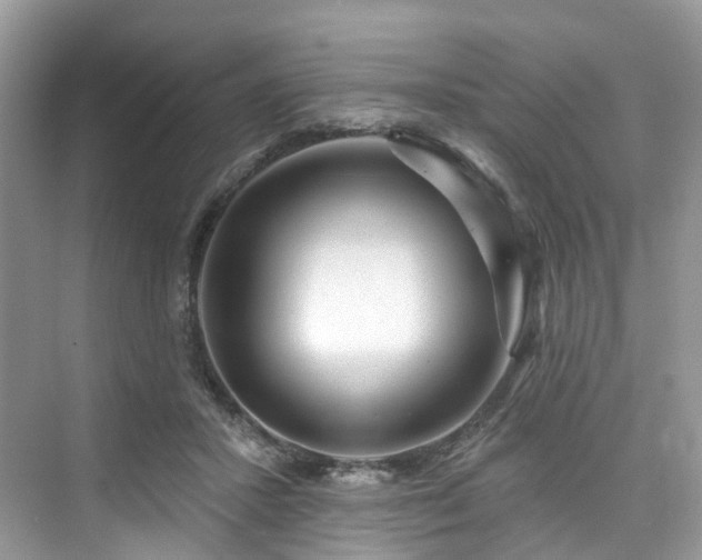 X0000073930407200608111205