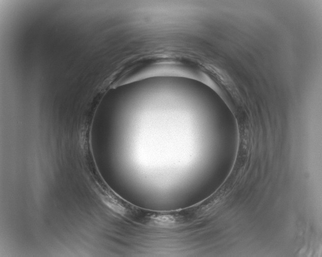 X0000073930409200608111205