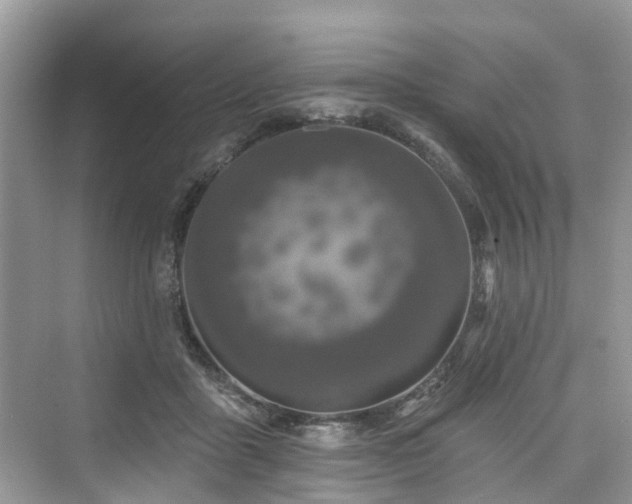 X0000073930411200608111205