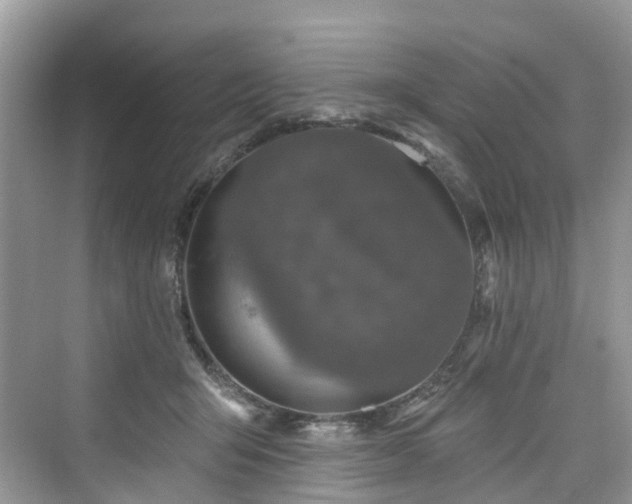 X0000073930415200608111205