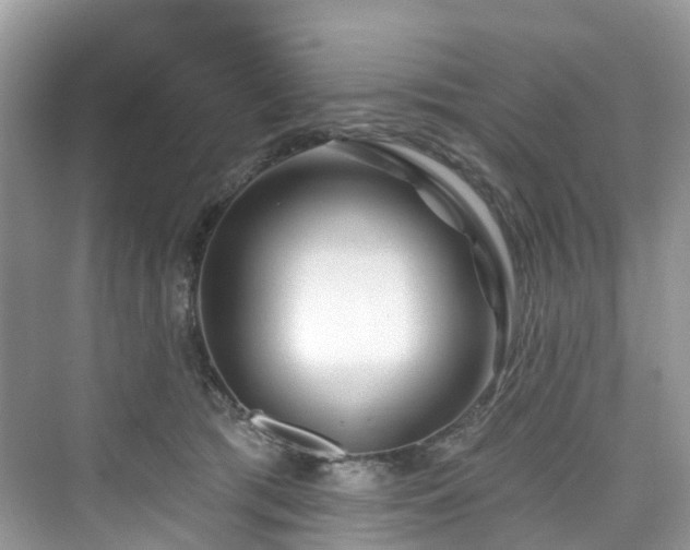 X0000073930417200608111205