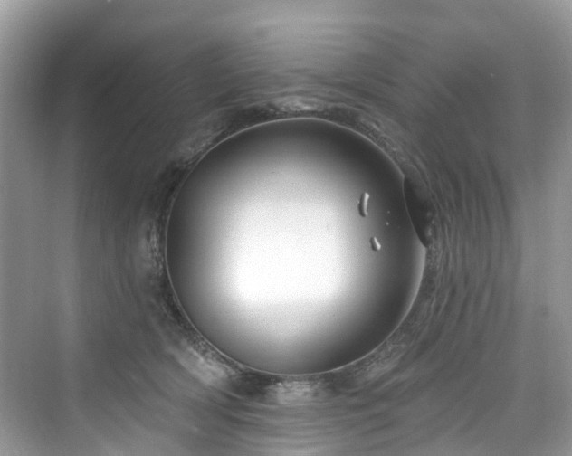 X0000073930418200608111205