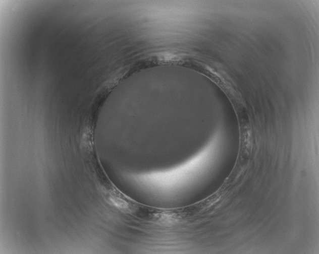 X0000073930419200608111205