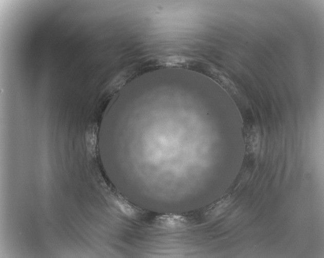 X0000073930427200608111205