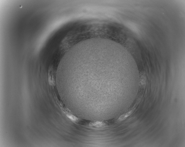 X0000073930431200608111205