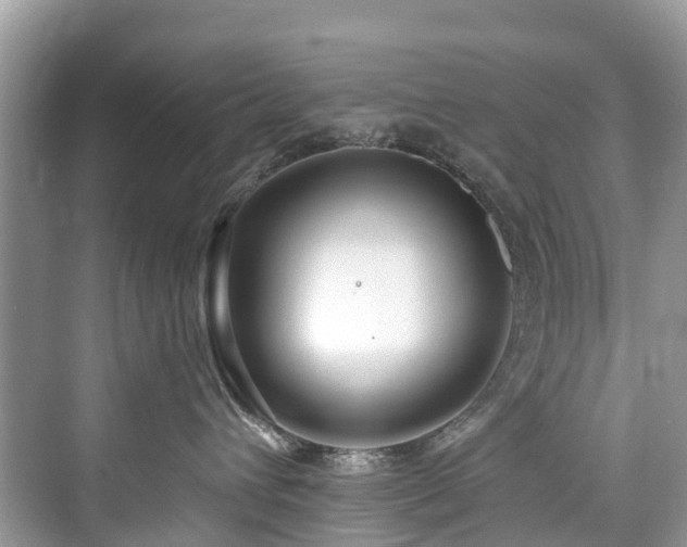 X0000073930432200608111205