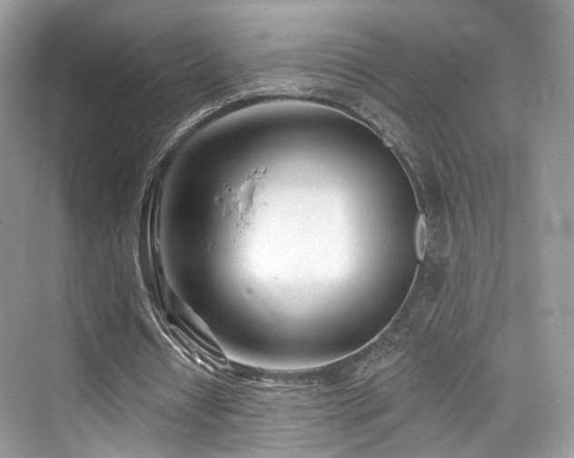 X0000073930434200608111204