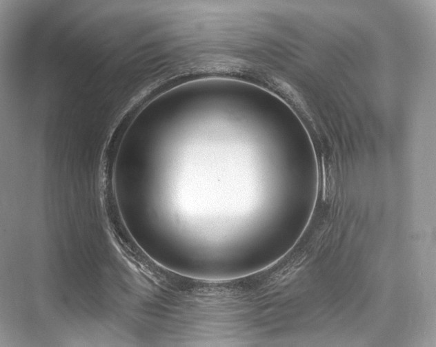 X0000073930435200608111204