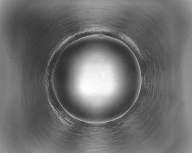 X0000073930436200608111204